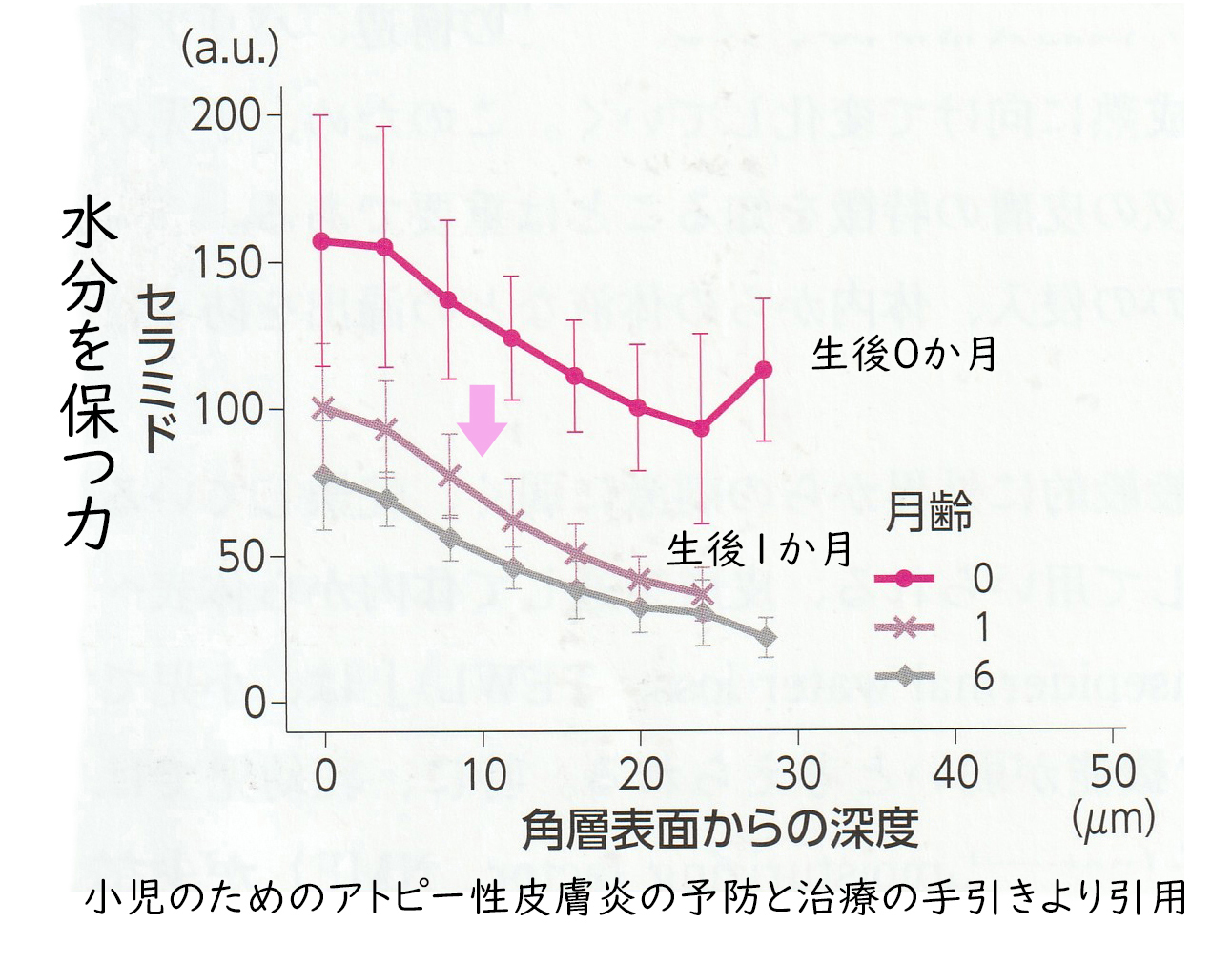 水分を保つ力 小児のためのアトピー性皮膚炎の予防と治療の手引きより引用